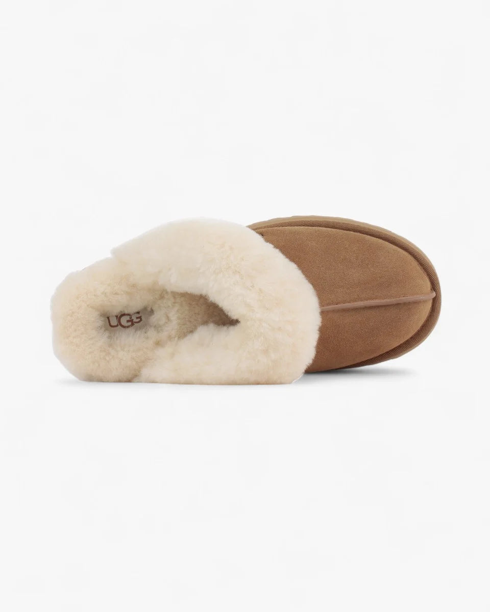 UGG Disquette Slipper Chestnut (Women's)