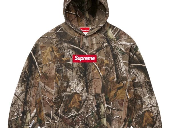 Supreme Box Logo Hooded Sweatshirt Realtree AP Camo (FW25)